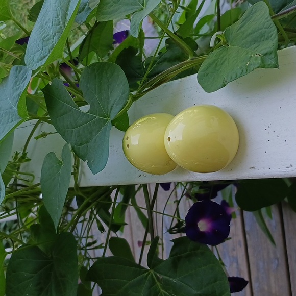 VINTAGE Pastel Yellow Mini Egg Shaped Mod Style Salt & Pepper Shakers - Picture 4 of 4